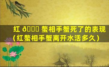 红 🐘 螯相手蟹死了的表现（红螯相手蟹离开水活多久）